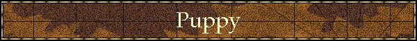 Puppy